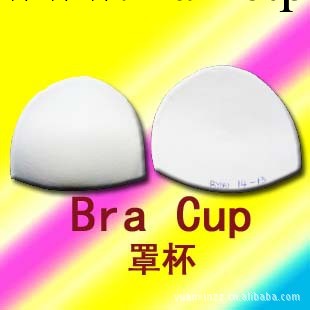 內衣插片 泳衣插片 插片 BraCup工廠,批發,進口,代購