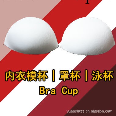 Bra Cup 出口罩杯 內衣罩杯 插片工廠,批發,進口,代購