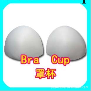 內衣插片 泳衣插片 罩杯 插片 Bra Cup工廠,批發,進口,代購