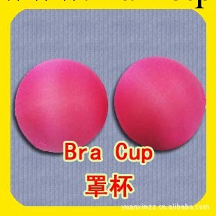 內衣罩杯 內衣插片 泳衣插片 Bra Cup 罩杯工廠,批發,進口,代購