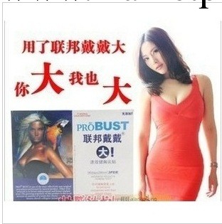 美國聯邦戴戴大 豐胸貼 聯邦戴戴大 速健乳貼 聯邦波爾美工廠,批發,進口,代購