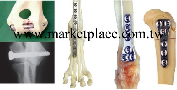 動物專用骨科手術器械工廠,批發,進口,代購