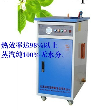 大量批發醫院專用108kw電蒸汽發生器 蒸汽發生器108kw工廠,批發,進口,代購