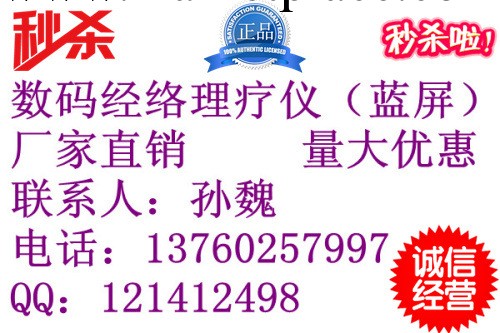 【低價銷售】多功能傢用健康使者藍屏治療機 1件起批工廠,批發,進口,代購