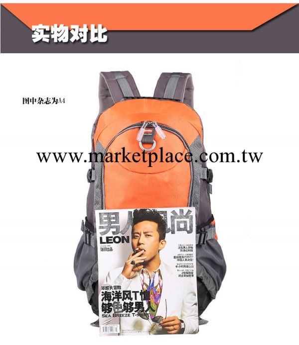 雙肩旅行包大容量 行李背包登山包 雙肩包正品男女 戶外背包雙肩工廠,批發,進口,代購