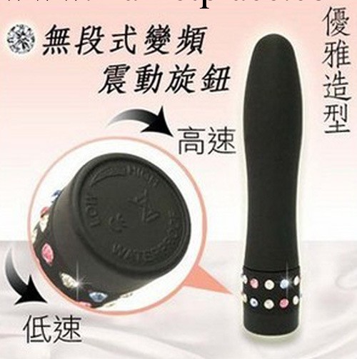 鉆石人生 震動按摩棒 女用G點後庭自慰器調情成人用品工廠,批發,進口,代購