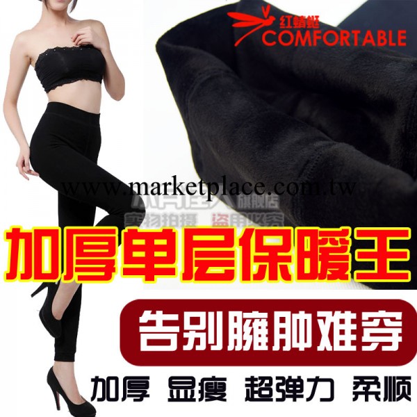 紅蜻蜓高腰單層保暖一體褲加大碼加絨加厚內搭褲女冬天款廠傢批發工廠,批發,進口,代購