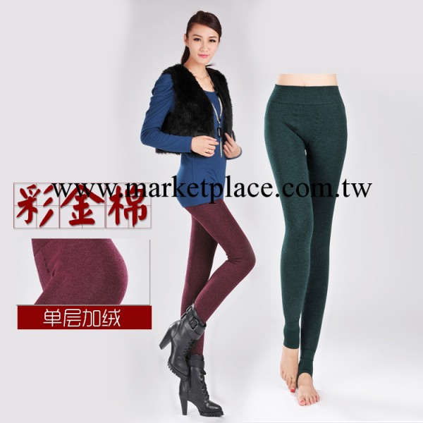 2013新款 彩金棉內搭褲女 塑身包臀 單層加絨女式一體褲工廠,批發,進口,代購
