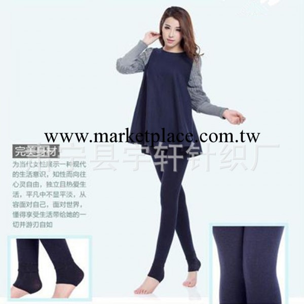 特價七彩棉女士內搭褲 保暖褲 不倒絨一體瘦身無縫褲 新品批發工廠,批發,進口,代購