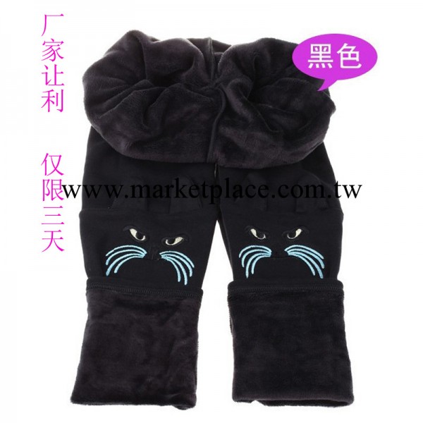 2013爆款 大碼小貓加厚加絨內搭褲 小貓刺繡內搭褲 義烏廠傢直銷工廠,批發,進口,代購