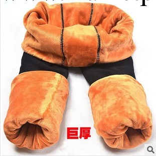 冬季內搭褲加厚 精裝加絨女士超厚顯瘦保暖羊胎絨棉褲加厚內搭褲工廠,批發,進口,代購