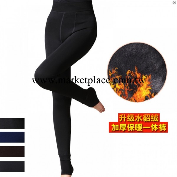 秋冬熱銷新款 珍珠不倒絨高檔水貂絨加厚加絨保暖內搭褲批發80209工廠,批發,進口,代購