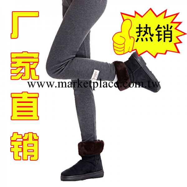 小貓內搭褲 加厚加絨內搭褲 不倒絨灰色修身顯瘦內搭褲工廠,批發,進口,代購
