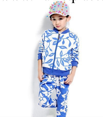 品牌童裝 女童 春秋裝2013新款套裝兒童長袖碎花休閒兩件套工廠,批發,進口,代購