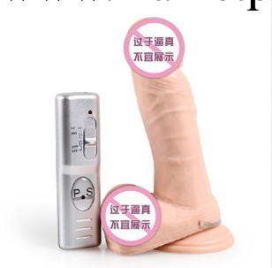 ps仿真陽具震動棒  性玩具女用 女用保健品  女用AV棒 百樂 愛侶工廠,批發,進口,代購