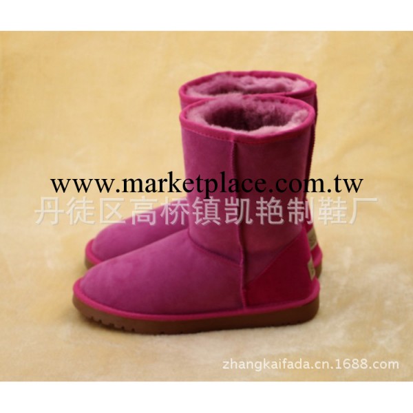 廠傢直銷雪靴 澳洲皮毛一體A級精品雪靴5825 大量批發工廠,批發,進口,代購