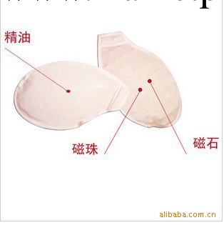 豐胸液水袋胸墊胸罩配件按摩珠玫瑰精油插片小胸MM磁石保健工廠,批發,進口,代購