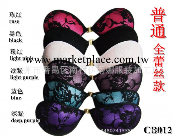 普通款 全蕾絲自黏性感隱形胸貼CB012 Lace Self-adhesiv Bra工廠,批發,進口,代購