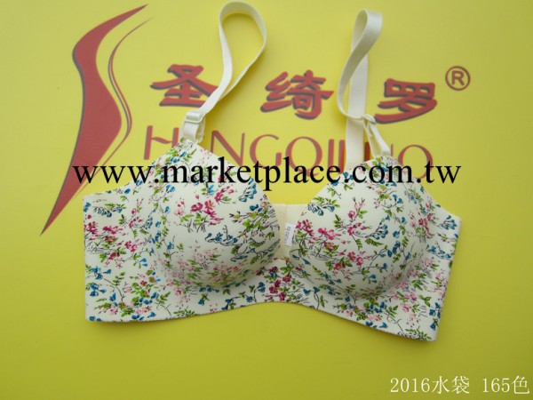 誠信批發商 一片式無縫胸罩  新款一片式胸罩 聖綺羅品牌乳罩工廠,批發,進口,代購