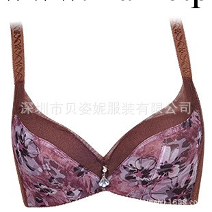 一件代發廠傢批發 女士內衣聚攏收副乳調整型中厚模杯胸罩工廠,批發,進口,代購