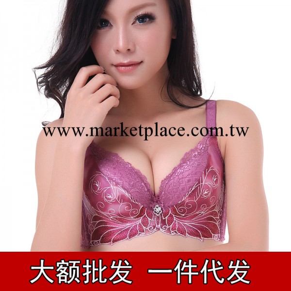 刺繡收副乳調整型聚攏胸罩批發性感乳罩特價女士內衣一件代發805工廠,批發,進口,代購
