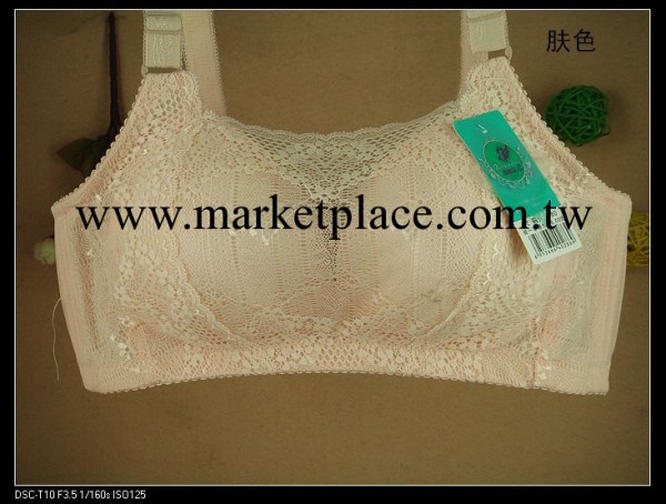 廠傢直銷 欣怡女人8223 胸罩批發 新款胸罩 內衣批發工廠,批發,進口,代購