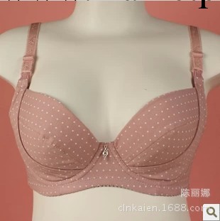 批發哺乳胸罩 高檔純棉 圓點3排扣U型胸罩 孕婦內衣工廠,批發,進口,代購