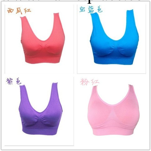 Genie bra 彩色雙層帶胸墊無縫胸罩 無鋼圈運動背心內衣 瑜伽背心工廠,批發,進口,代購