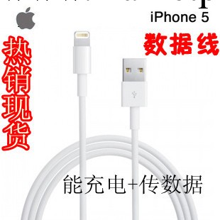 蘋果5代數據線 iPhone5數據線 充電線 iphone5工廠,批發,進口,代購