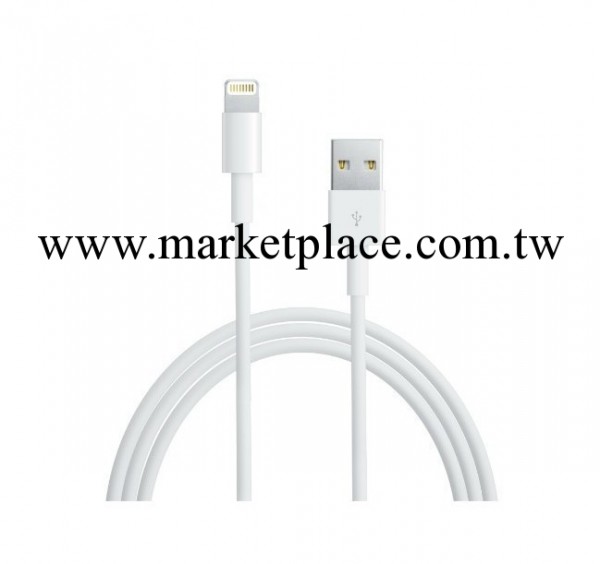 蘋果ipone5 數據線 ，數據傳輸，充電,蘋果數據線廠傢現貨供應工廠,批發,進口,代購