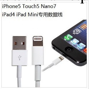 蘋果iphone5 lightning口數據線工廠,批發,進口,代購