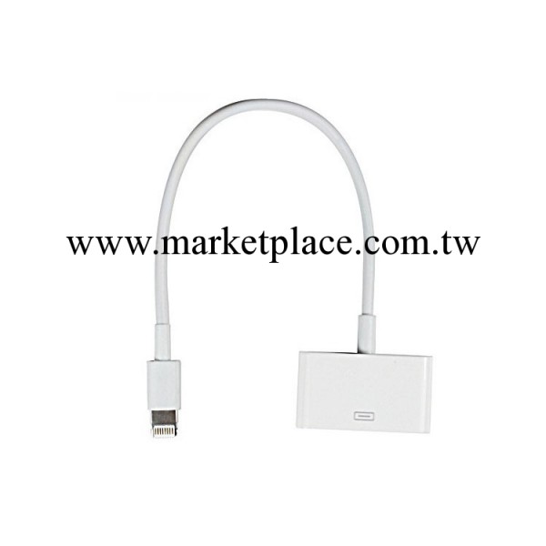 批發iphone5數據線轉換頭 蘋果4手機轉換連接頭器mini迷你ipad4工廠,批發,進口,代購