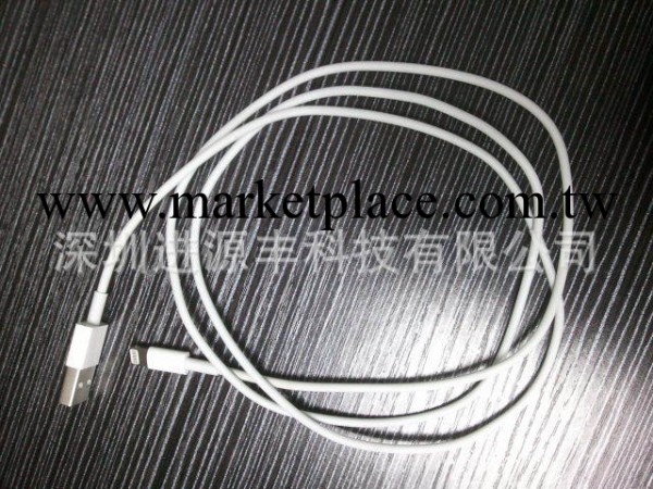 IPhone5數據線 lightning數據線 蘋果五手機轉換線工廠,批發,進口,代購