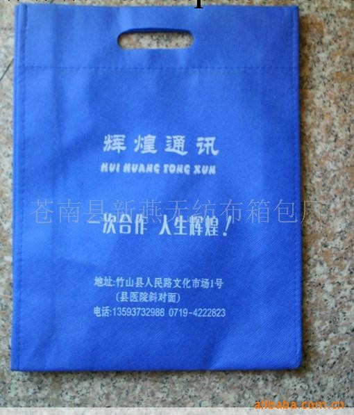 供應無紡佈環保沖孔袋 無紡佈袋 無紡佈廣告袋 可加印公司LOGO工廠,批發,進口,代購