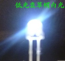 【企業集采】5mm草帽白光LED發光二極管低光衰（1800--2000mcd）批發・進口・工廠・代買・代購