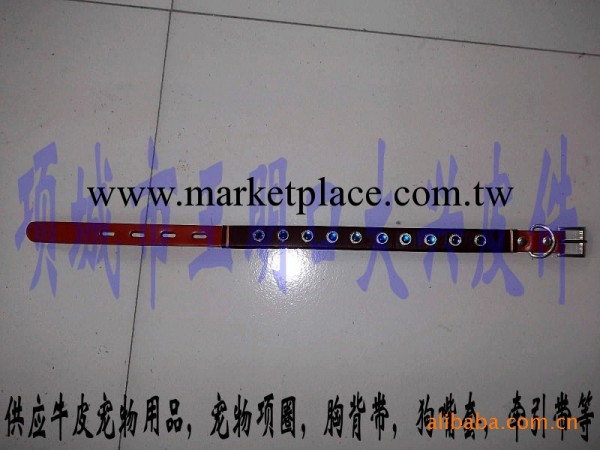 寵物用品批發 寵物牽引帶 高檔寵物牽引帶工廠,批發,進口,代購