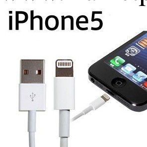 蘋果iPhone5數據線 數據線 Lightning 專用數據線工廠,批發,進口,代購