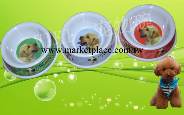 【廠傢直銷】單口寵物碗，密胺寵物碗，寵物用品，寵物食具 狗碗工廠,批發,進口,代購