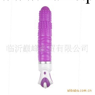 美國迪斯郎牙震棒 Teaser女用自慰，震動棒，情趣用品工廠,批發,進口,代購