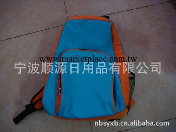 寧波供應各種規格電腦包,按客戶要求定做各種尺寸,面料電腦包工廠,批發,進口,代購