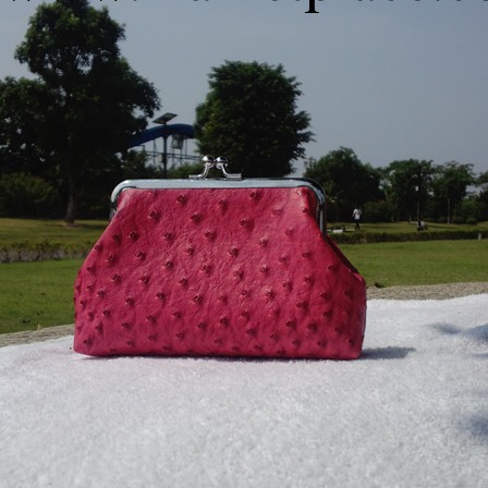 廠傢批發新款立體鴕鳥紋PU 女大手拿包 女士錢包批發 十元店貨源工廠,批發,進口,代購