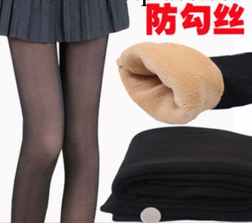 秋冬襪子卡拉絨假透肉色內搭褲 不倒絨竹炭保暖褲 雙層加厚九分褲工廠,批發,進口,代購