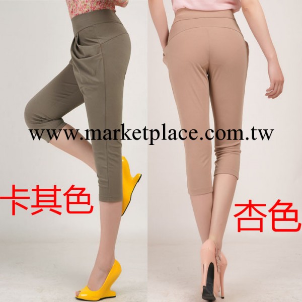 批發代理2013夏裝新款休閒時尚哈倫褲彈力修身中腰七分褲女褲工廠,批發,進口,代購