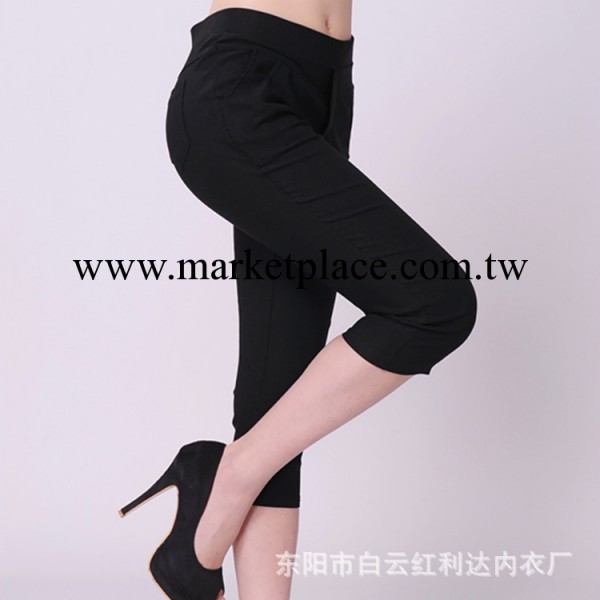 【天天特批】特批春夏新款韓版女褲 大碼七分褲批發 彈力休閒褲工廠,批發,進口,代購