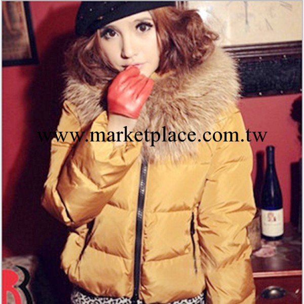 2013冬季女裝新品 女式羽絨外套 韓版精品大毛領短款女士羽絨棉服工廠,批發,進口,代購