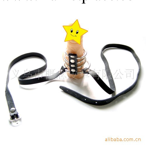 情趣用品 JJ套環 另類情趣 批發工廠,批發,進口,代購