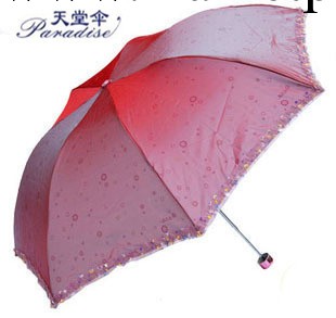 天堂傘正品專賣3312E迷彩星辰三折傘晴雨傘創意遮陽傘太陽傘工廠,批發,進口,代購