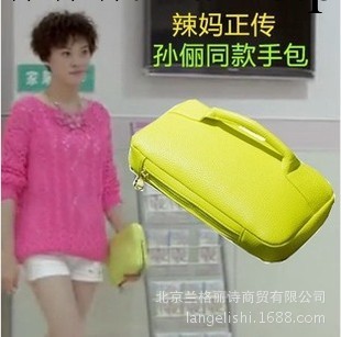 夏冰辣媽正傳孫儷同款包包韓版時尚手拿包女包小包潮可一件代發工廠,批發,進口,代購