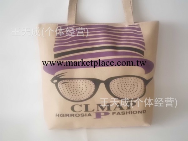 熱賣眼鏡頭手提購物袋休閒包單肩包學生 批發工廠,批發,進口,代購