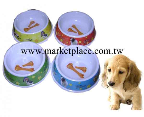 【廠傢直銷】寵物碗，密胺寵物碗，寵物食具，寵物用品，貓狗碗。工廠,批發,進口,代購